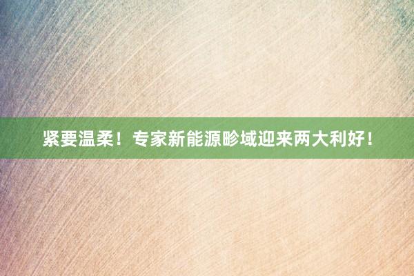 紧要温柔！专家新能源畛域迎来两大利好！