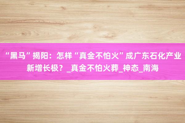 “黑马”揭阳：怎样“真金不怕火”成广东石化产业新增长极？_真金不怕火葬_神态_南海