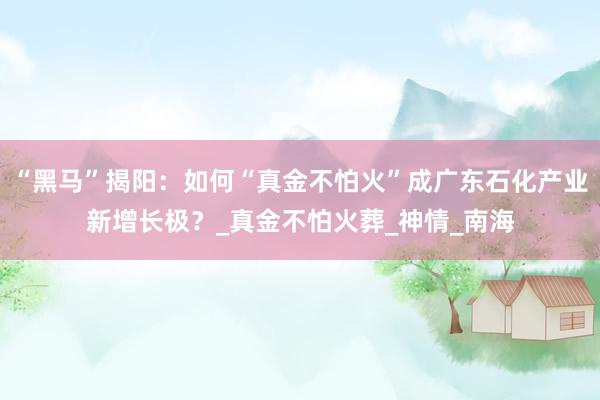 “黑马”揭阳：如何“真金不怕火”成广东石化产业新增长极？_真金不怕火葬_神情_南海