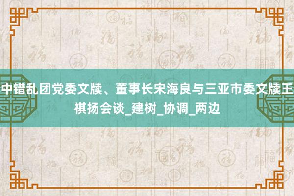 中错乱团党委文牍、董事长宋海良与三亚市委文牍王祺扬会谈_建树_协调_两边