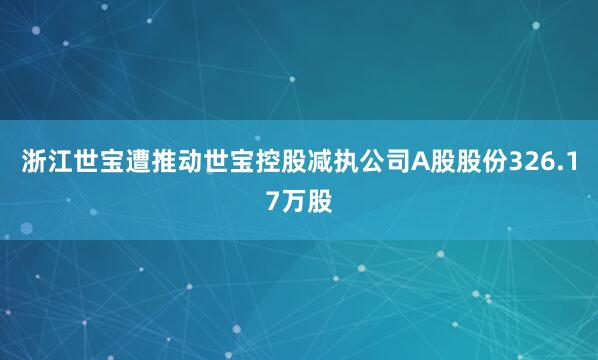 浙江世宝遭推动世宝控股减执公司A股股份326.17万股