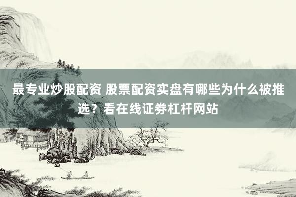 最专业炒股配资 股票配资实盘有哪些为什么被推选？看在线证劵杠杆网站