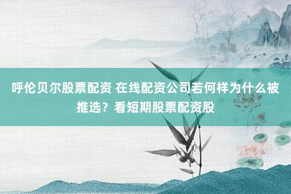 呼伦贝尔股票配资 在线配资公司若何样为什么被推选？看短期股票配资股