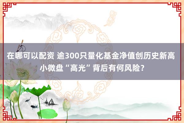 在哪可以配资 逾300只量化基金净值创历史新高 小微盘“高光”背后有何风险？