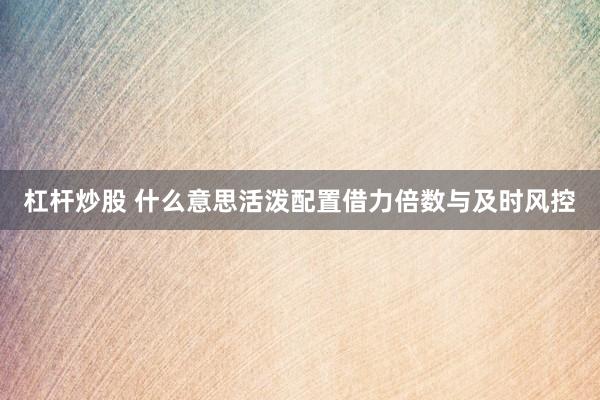 杠杆炒股 什么意思活泼配置借力倍数与及时风控