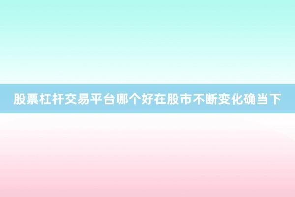 股票杠杆交易平台哪个好在股市不断变化确当下