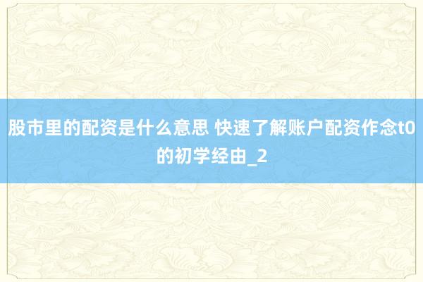 股市里的配资是什么意思 快速了解账户配资作念t0的初学经由_2