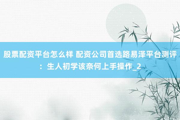 股票配资平台怎么样 配资公司首选路易泽平台测评:生人初学该奈何上手操作_2