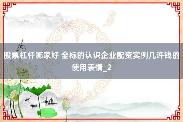 股票杠杆哪家好 全标的认识企业配资实例几许钱的使用表情_2