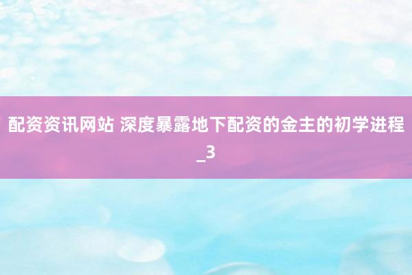 配资资讯网站 深度暴露地下配资的金主的初学进程_3