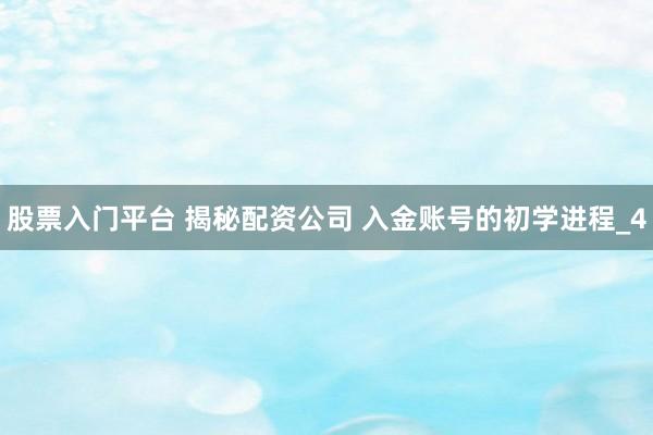 股票入门平台 揭秘配资公司 入金账号的初学进程_4