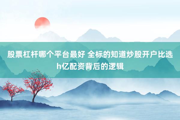股票杠杆哪个平台最好 全标的知道炒股开户比选h亿配资背后的逻辑