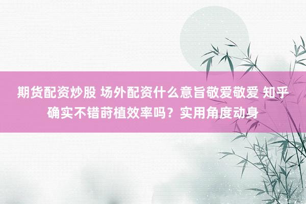 期货配资炒股 场外配资什么意旨敬爱敬爱 知乎确实不错莳植效率吗？实用角度动身