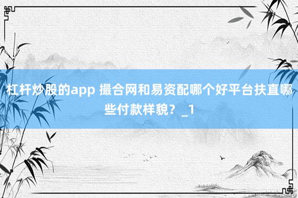 杠杆炒股的app 撮合网和易资配哪个好平台扶直哪些付款样貌?_1