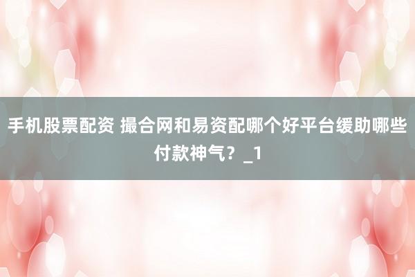 手机股票配资 撮合网和易资配哪个好平台缓助哪些付款神气？_1